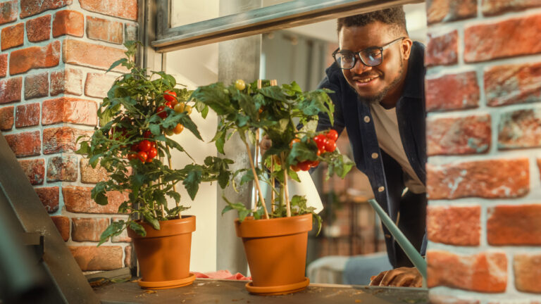 Container Gardening: Food You Can Grow in Your Apartment