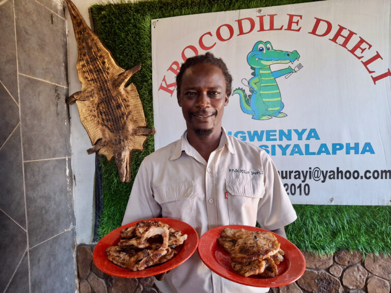 Raphael Tsaurayi’s Crocodile Cuisine Creates a Success Story in South Africa