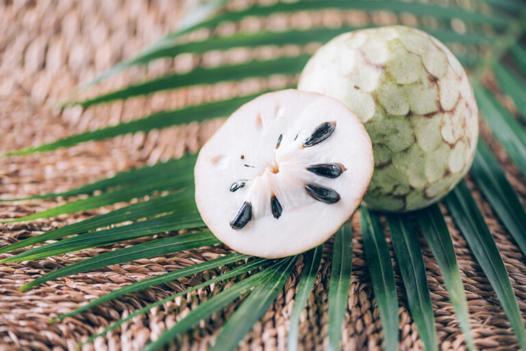 Soursop Fruit: A Diaspora of Flavor