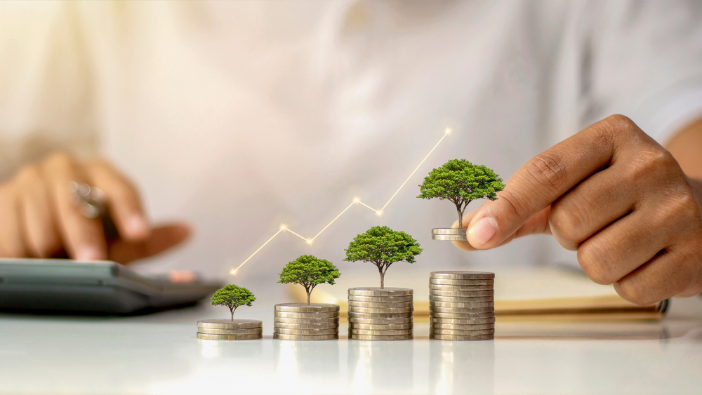 Cashflow Coach: I Planted a Money Tree!