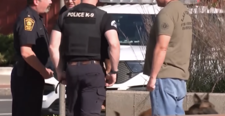 ICE Is Still Targeting the Haitian Community in Springfield