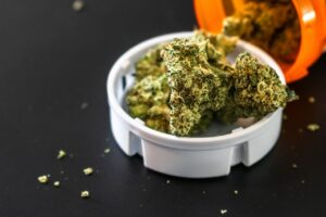 Cannabis Equity in Minnesota Puts Repair at Center of Legalization